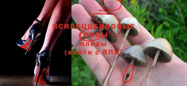 MDMA Premium VHQ Каменка