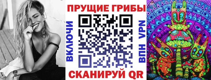 Псилоцибиновые грибы Psilocybine cubensis  Купить где  Южа 